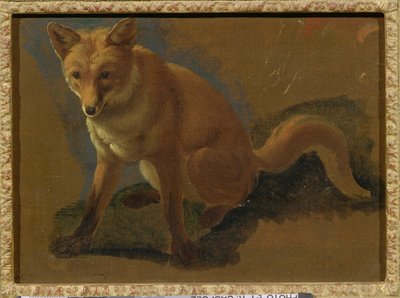 Estudio de un zorro de Jacques Laurent Agasse